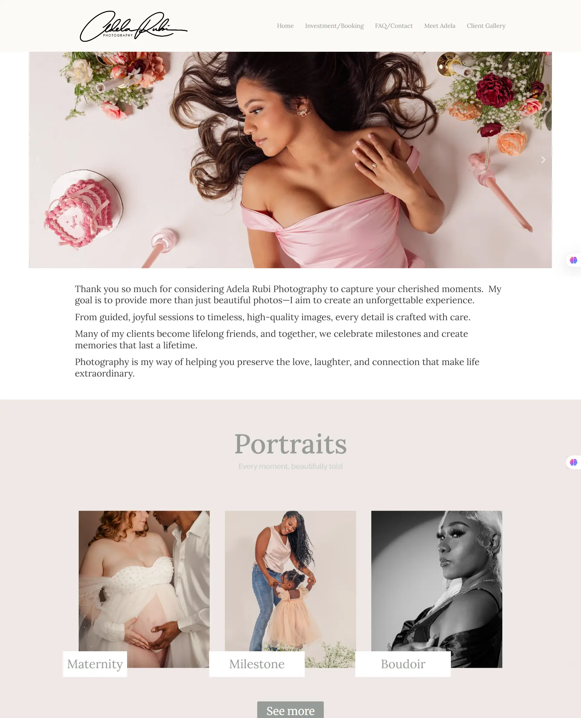 Adela Project image 2